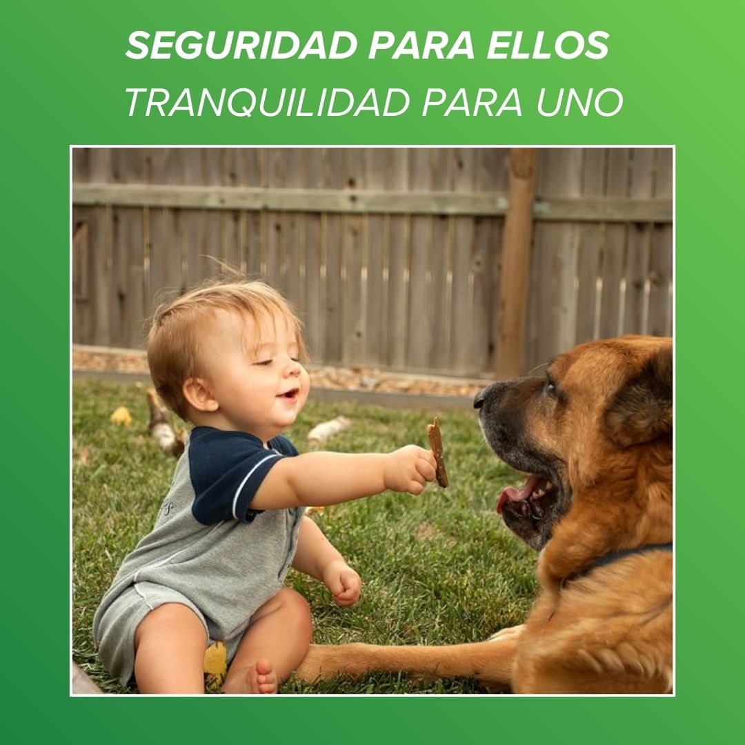 Fumigador de Garrapatas y Pulgas Domesticas